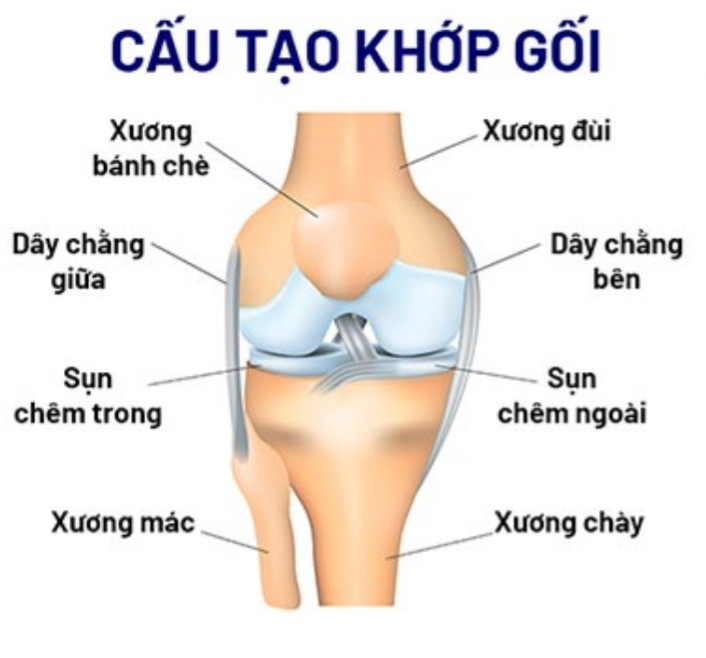 ĐIỀU TRỊ THOÁI HÓA KHỚP GỐI